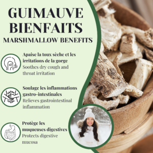 découvrez les bienfaits de la guimauve, un remède naturel anti-inflammatoire efficace pour soulager la toux et apaiser la gorge irritée.